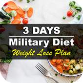 3 Days Military Diet Weight Loss Plan 4.8