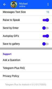 Telegrem Plus screenshot 3