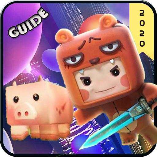 Guide  Mini World Block Art 2020 1.0