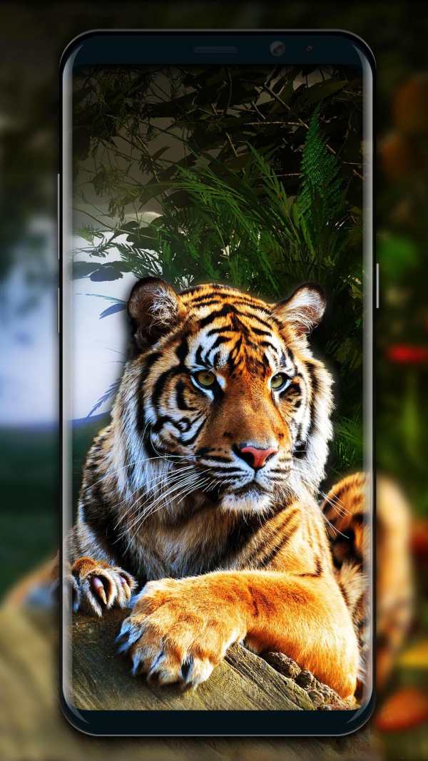 Tiger Live Wallpaper 2018 screenshot 1