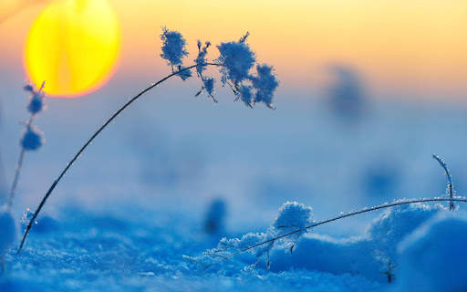 Winter Wallpapers | hd backgrounds screenshot 16