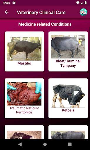 IVRI-VeterinaryClinicalCare Ap 5 تصوير الشاشة