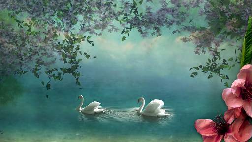 Swan Live Wallpaper : 7fon & LWP screenshot 13