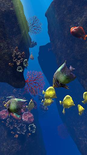 OCEAN AQUARIUM Live Wallpaper FREE screenshot 18