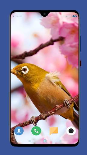 Beautiful Spring Wallpaper  4K screenshot 16