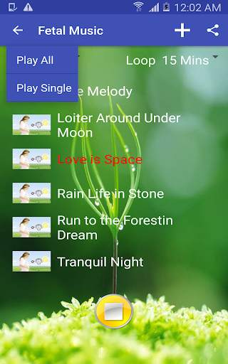 Offline family music player screenshot 8