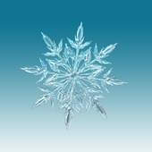 Snow Wallpaper 1.0