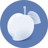 Necta Launcher 1.6.1