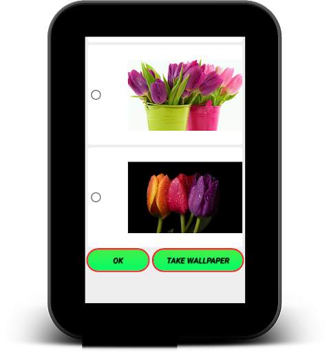 Tulip Live Wallpapers - Screen Lock, Sensor, Auto screenshot 12