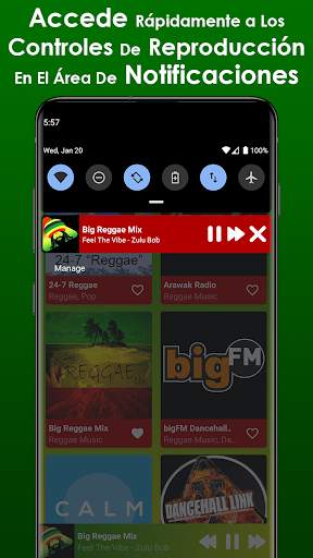 Música Reggae screenshot 6