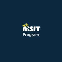 MSIT SIS icon
