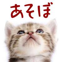 猫トランプ