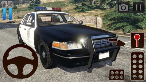 Car Driving Simulator Ford screenshot 2