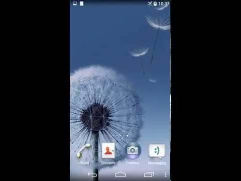 Dandelion Live Wallpaper screenshot 1