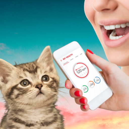 Translator cat - cat sounds icon