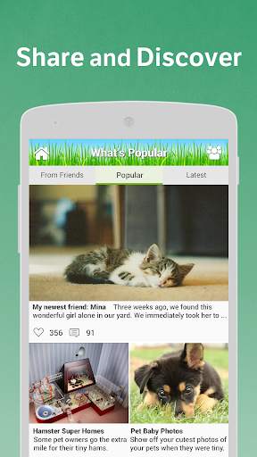 Pets Amino for Cats, Dogs, Birds, and Pet Owners स्क्रीनशॉट 2