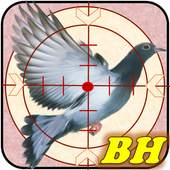 The Sniper: Birds Hunter 1.00