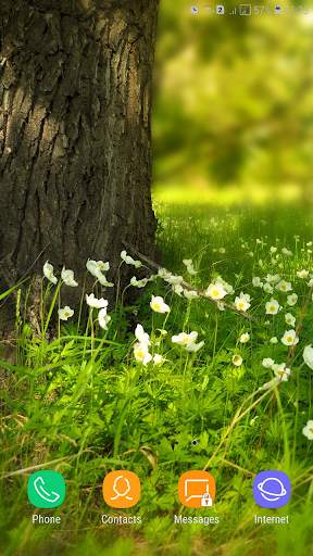 Spring Wallpaper screenshot 6