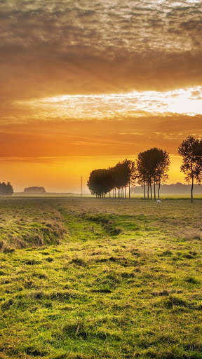 Nature Live Wallpapers screenshot 1