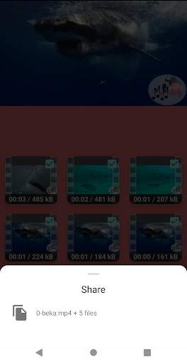 Video Splitter screenshot 5