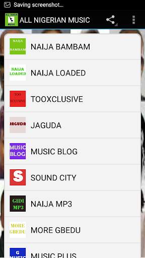 ALL NAIJA MUSIC screenshot 1
