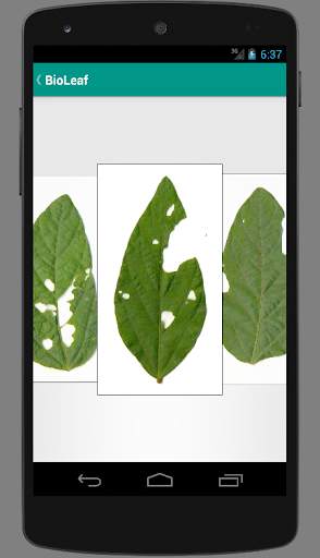 BioLeaf - Foliar Analysis screenshot 2