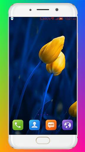 Tulip Wallpaper HD screenshot 12