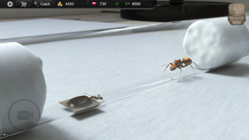 Ant Sim Tycoon screenshot 2