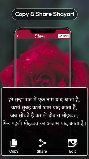 Hindi Shayari on Photo: Hindi Text Status Maker screenshot 4