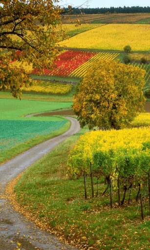 Best Scenery Live Wallpaper screenshot 6
