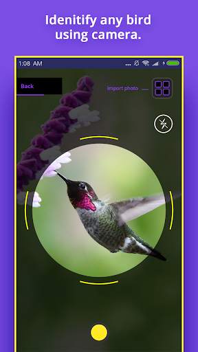 Bird Identifier screenshot 1