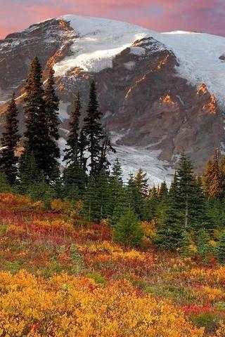 Wallpaper Nature Free HD screenshot 1