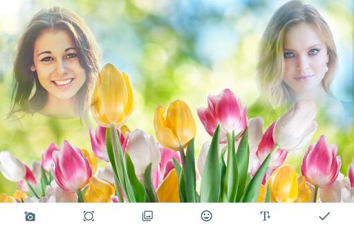 Tulips Photo Frames screenshot 1