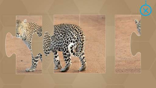 Animals for Kids - Flashcards, Puzzles & Sounds screenshot 22