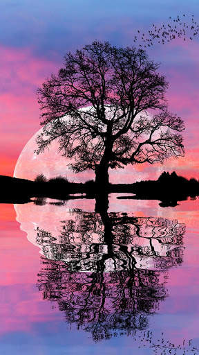 Moon HD Wallpapers screenshot 6