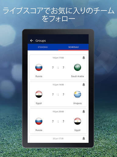 Russia ‘18 screenshot 9