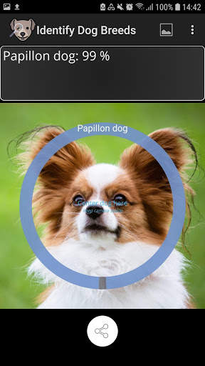 Erkenne Hunderassen screenshot 5