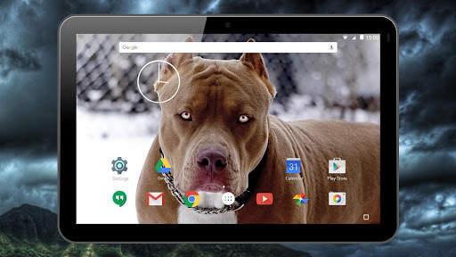 Fighting Dogs Live Wallpaper screenshot 12