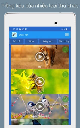 Tiếng Chim Hót screenshot 8