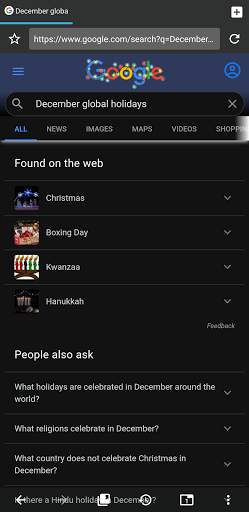 Berry Browser screenshot 2