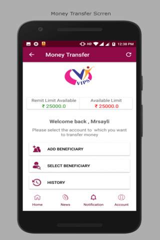 Vips Money B2B स्क्रीनशॉट 2