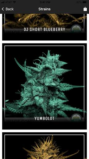 The Social Weed screenshot 3