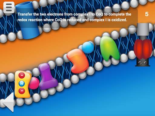 Biology Cellular Respiration screenshot 9