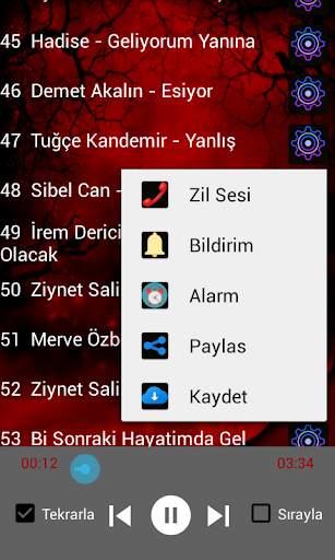 Turkish POP Music 75 songs OFFLİNE screenshot 3