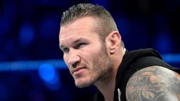Free WWE Videos screenshot 6