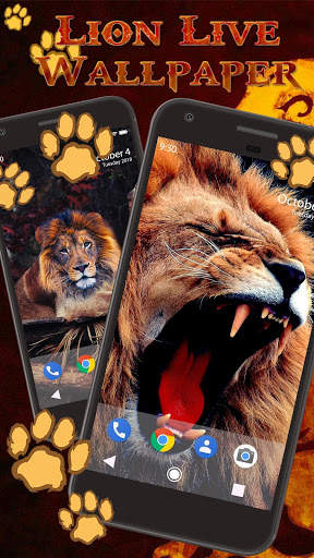 Wild Lion Live Wallpaper screenshot 4