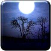 Night Shadow LITE 2.71