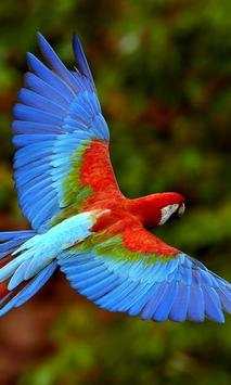 Birds Wallpaper स्क्रीनशॉट 1
