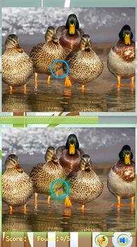 Find Difference Game Duck screenshot 3