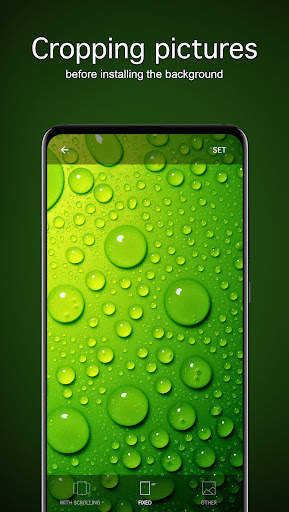 Green Wallpapers 4K screenshot 4